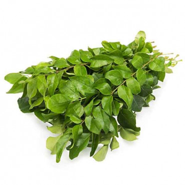 Curry Leaves 1 Piece