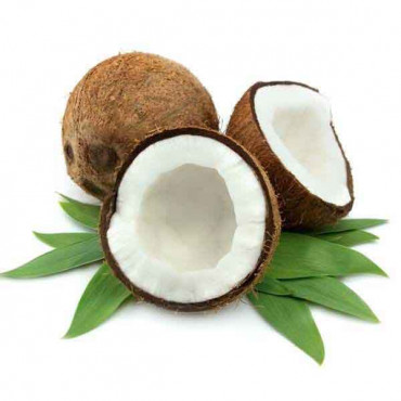 Coconut 1 Piece