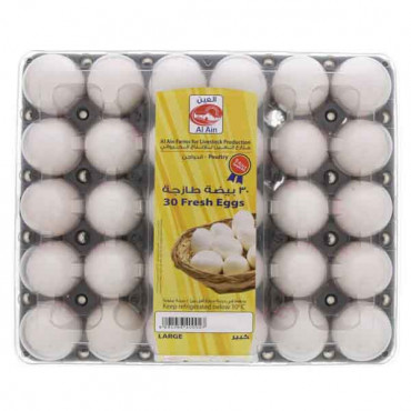 Al Ain Large Eggs Tray 30 Pieces