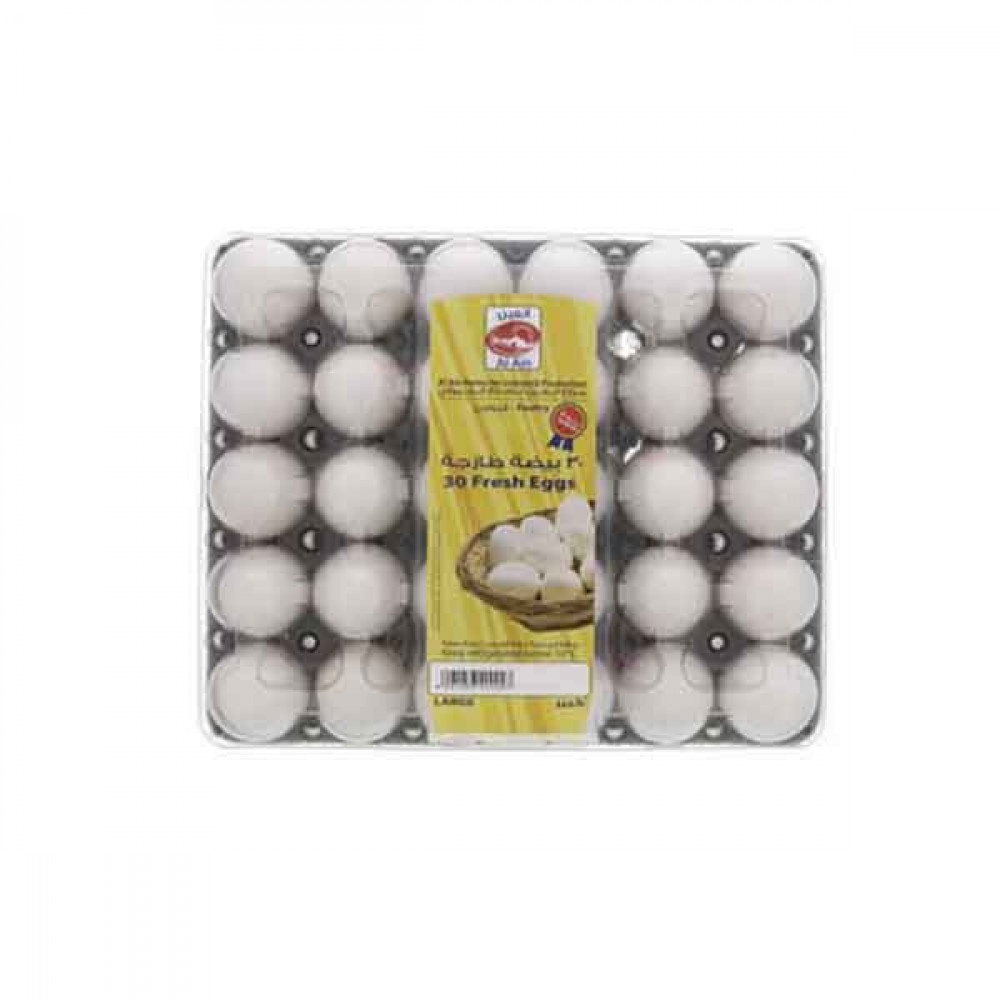 Al Ain Extra Large Egg 30 Pieces