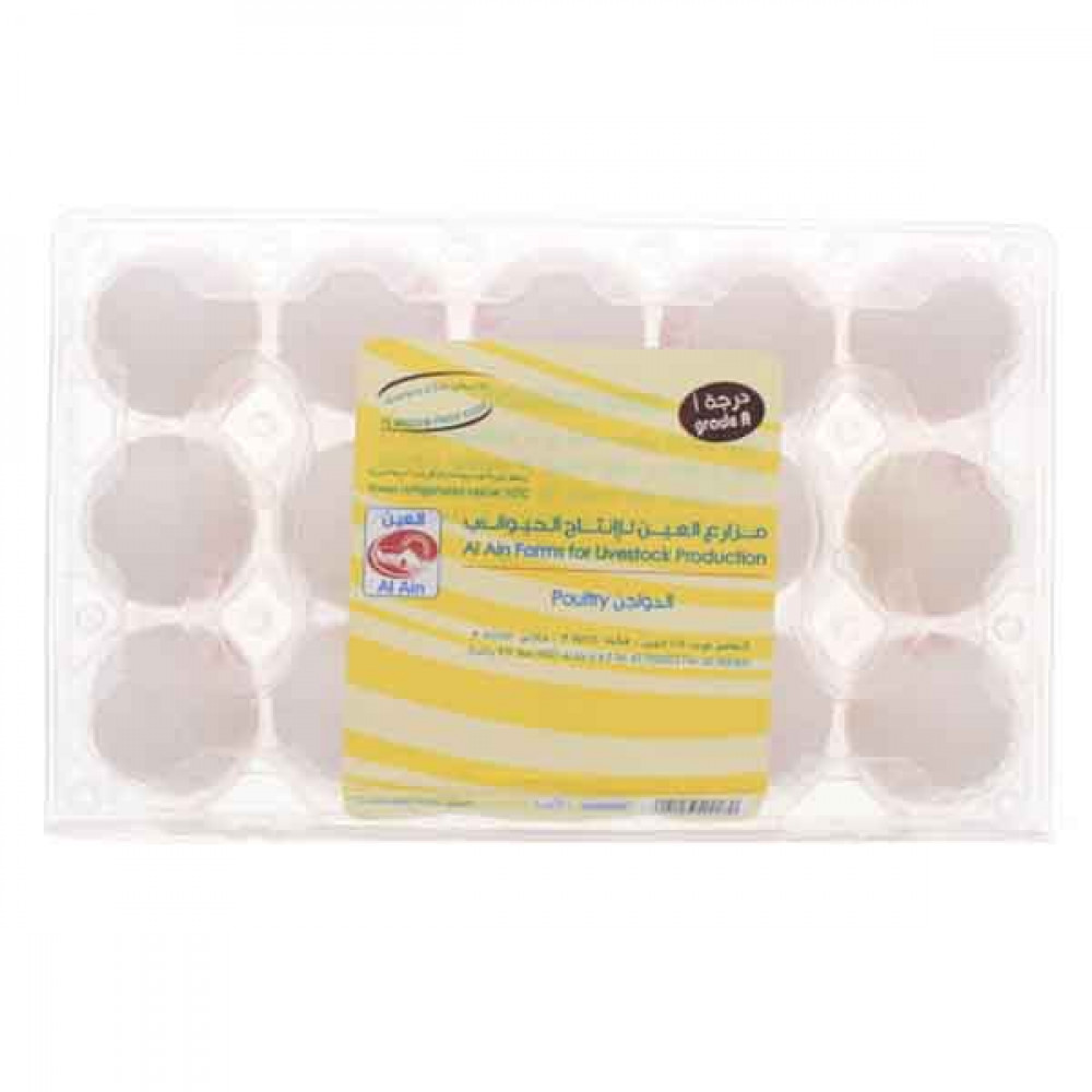 Al Ain Medium Egg 15 Pieces