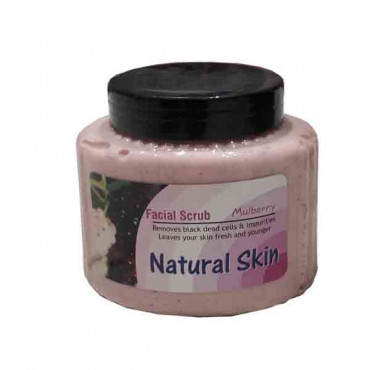 Nsk Natural Skin Mulberry Face Scrub 500g