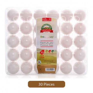 Ova Plus Large White Eggs 30 Pieces